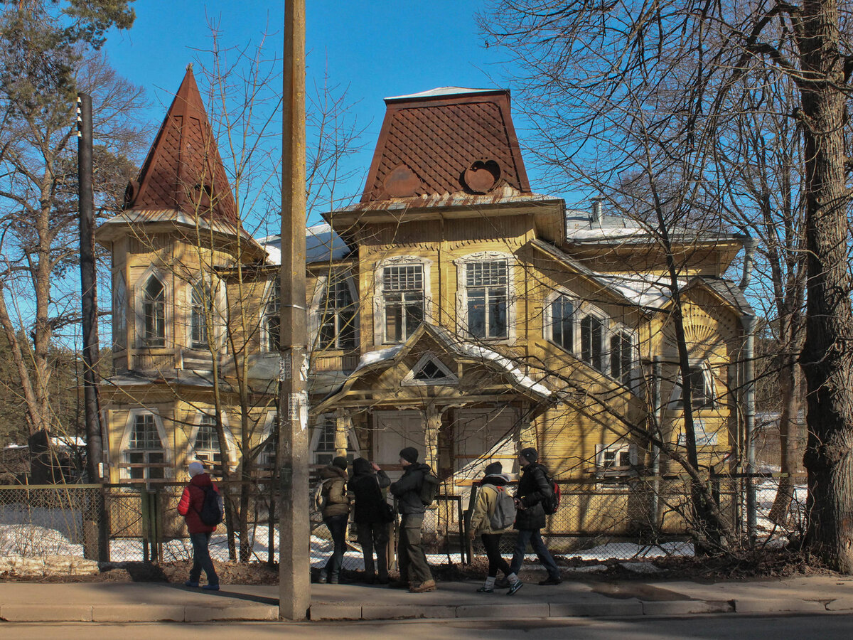 Сестрорецк дачи Модерн