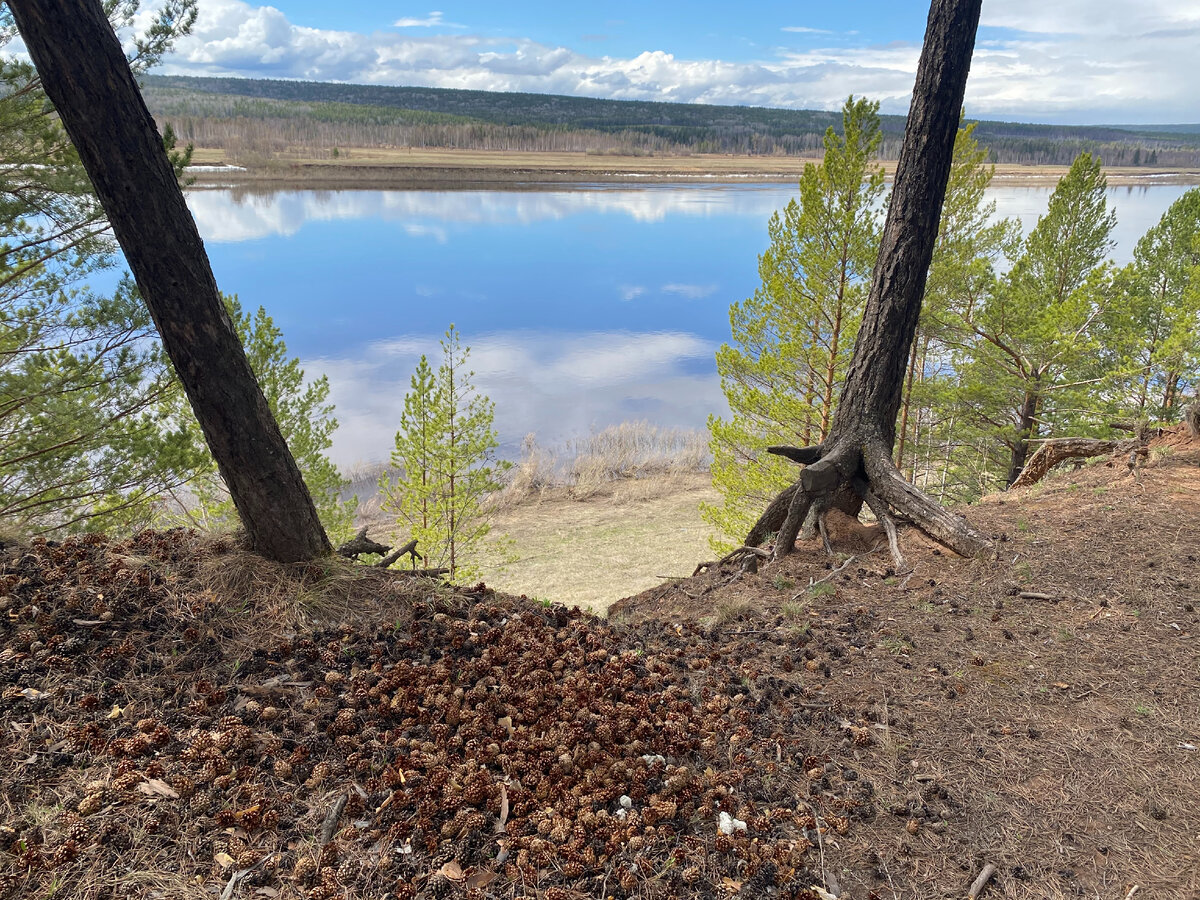 Река Лена