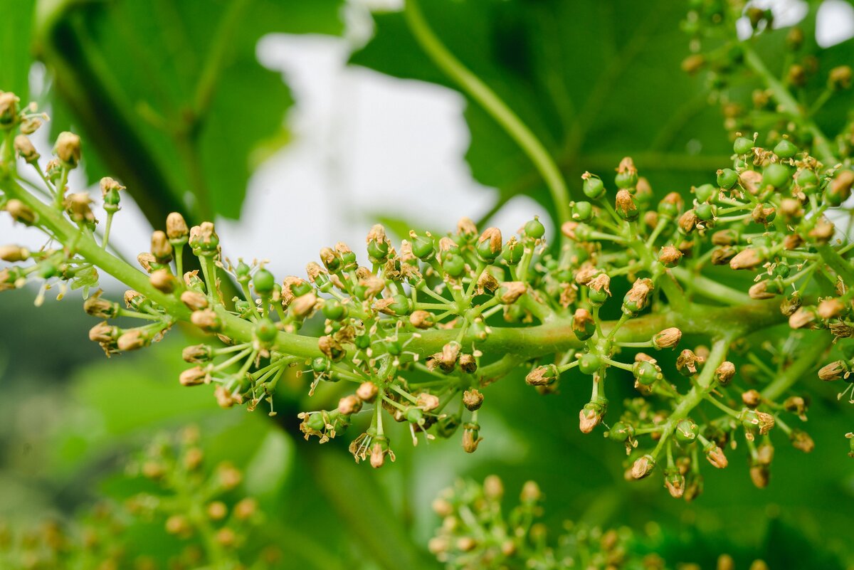 фото с сайта pixabay.com