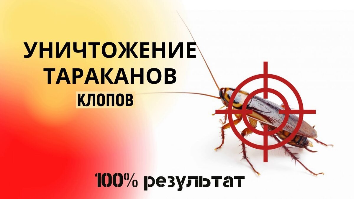 Уничтожение тараканов и клопов в квартирах Москвы