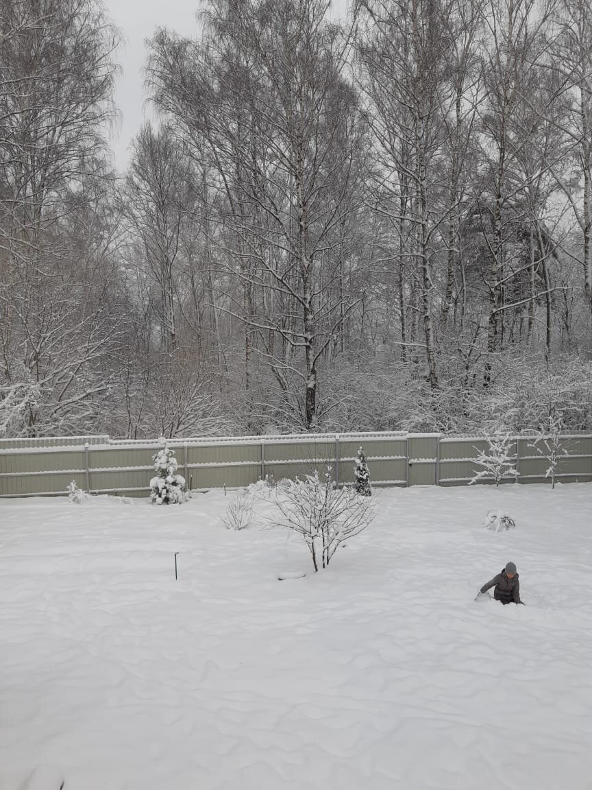 Дима играет в ноябре с первым снегом