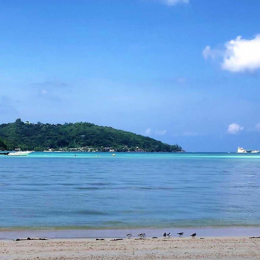 Anse a la Mouche, пляж. Сейшельская республика. Остров Маэ