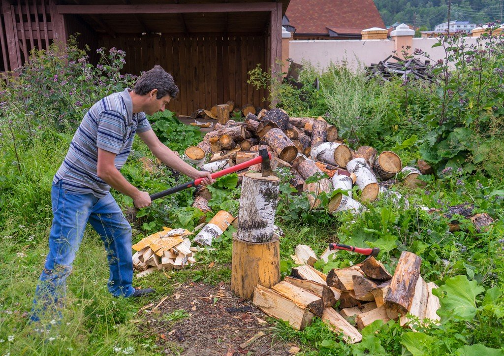 Фото Shutterstock.com