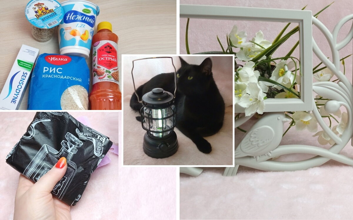 Покупки от 15.05.2022, Санкт-Петербург