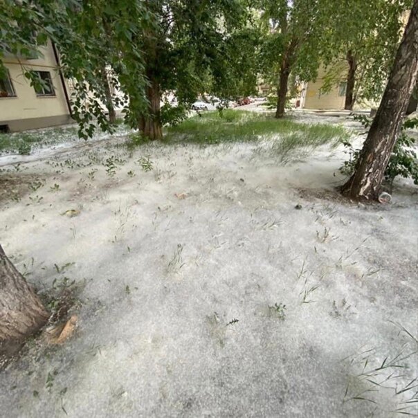 Яндекс картинки