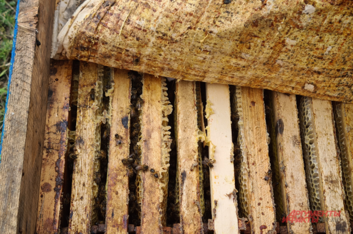    Кабмин РФ расширил список товаров для первоочередного оформления на таможне