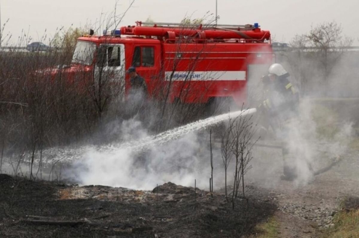    В России за сутки потушили 66 лесных пожаров