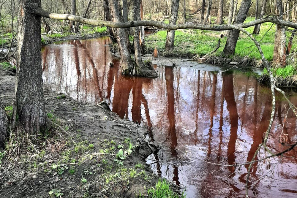 Водоемы подмосковья