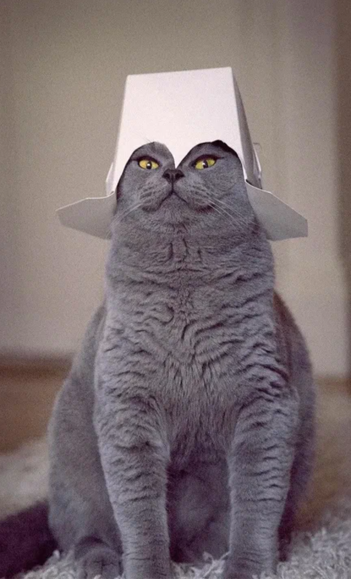 Рыцарь в съеденых доспехах