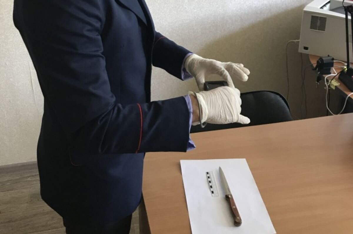    Сестра четыре раза ударила ножом в грудь брата на Ставрополье