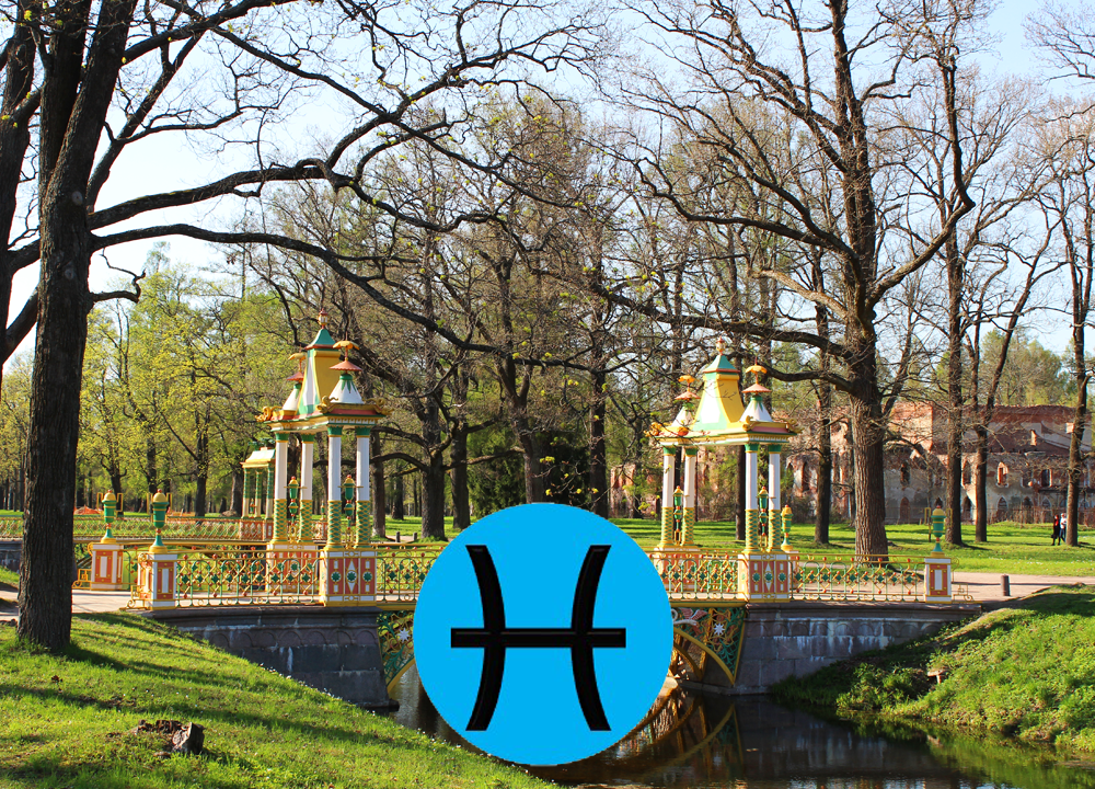 Автор фото Илья Зуев