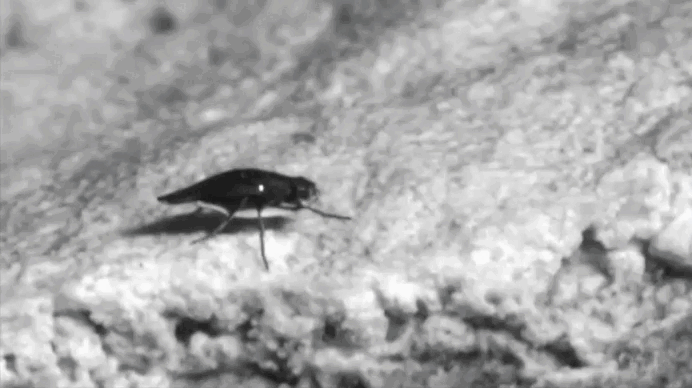 Миссия успешно завершена, всплываем!