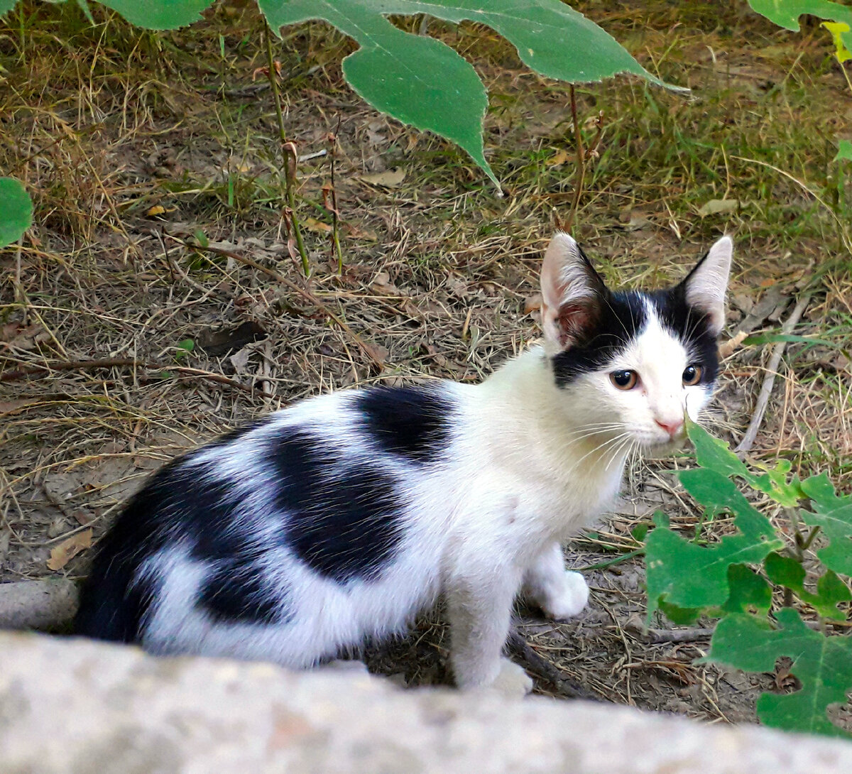 Мамка, первый день у нас