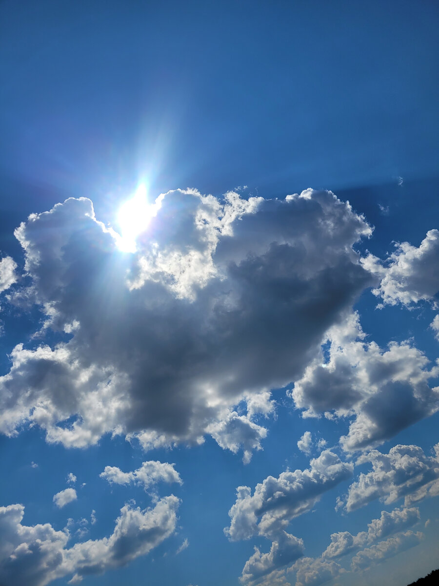 Фото автора, листаем вправо.