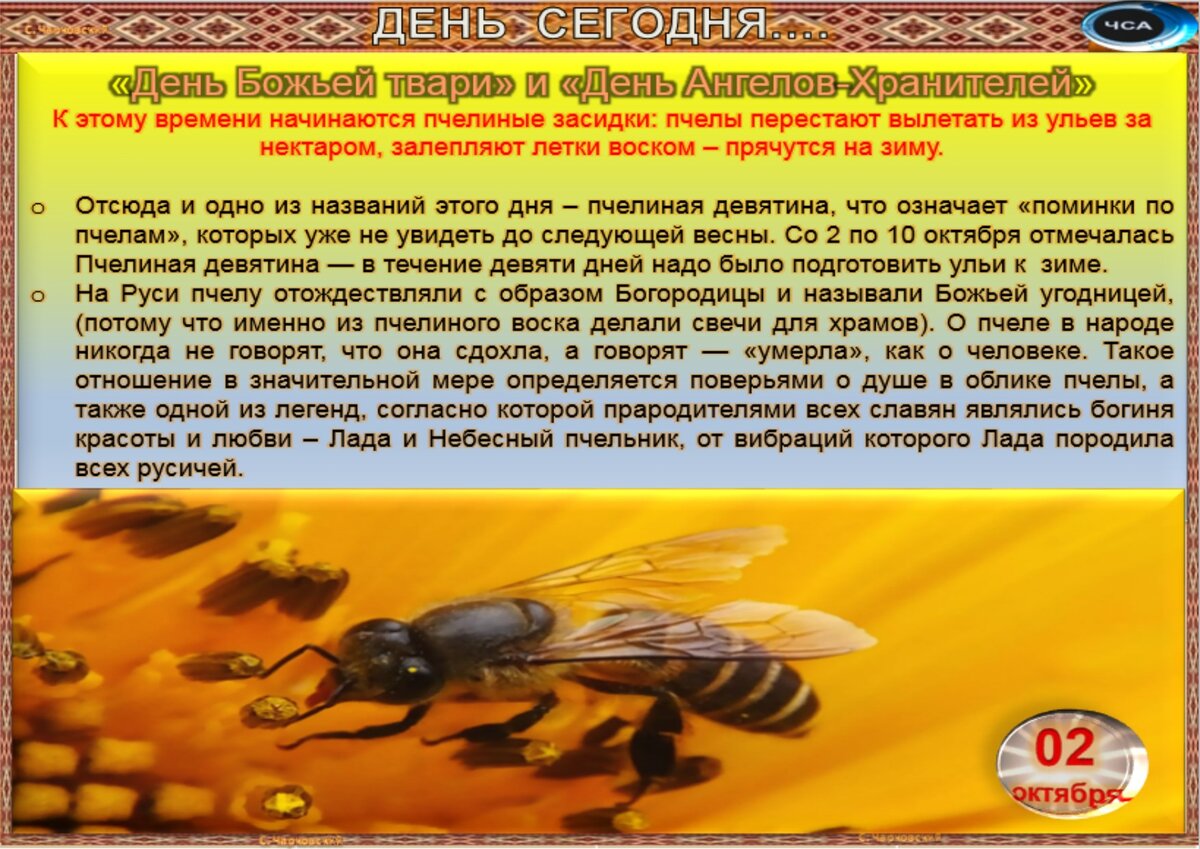 2 октября какой. 2 Октября приметы. 2 Октября праздники приметы. 2 Октября праздник.
