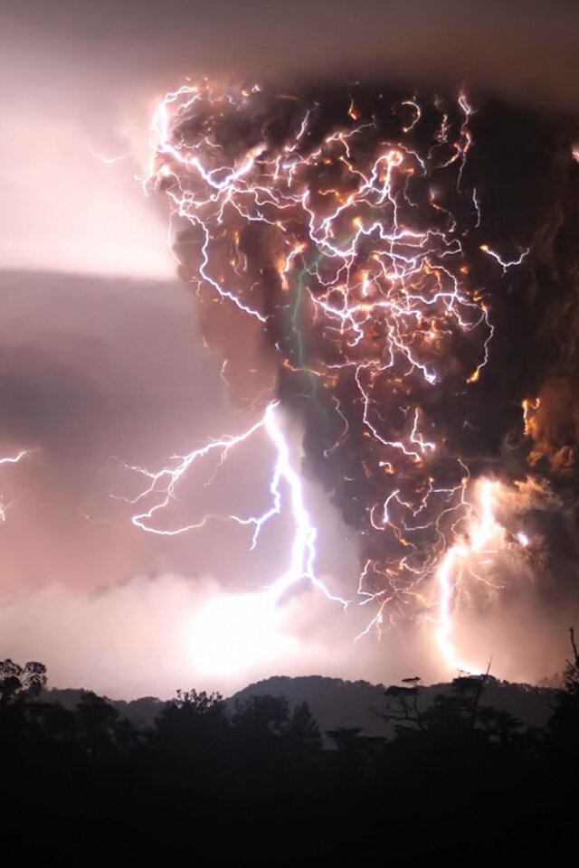 Фото взято из интернета 