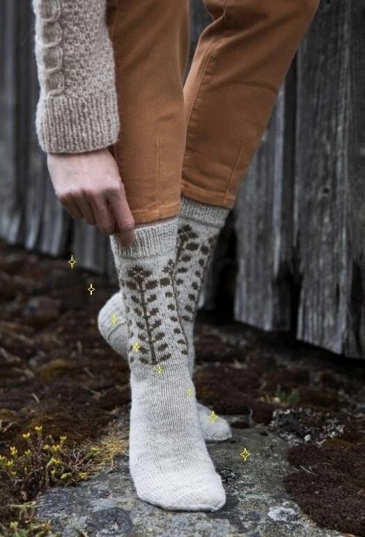 Фото из интернета