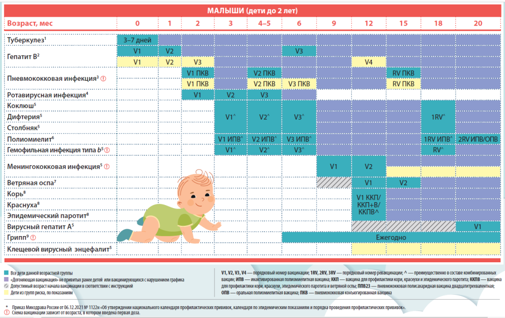 Вакцинация детей и взрослых: календарь профилактических прививок | НКЦ №2  (ЦКБ РАН) | Дзен