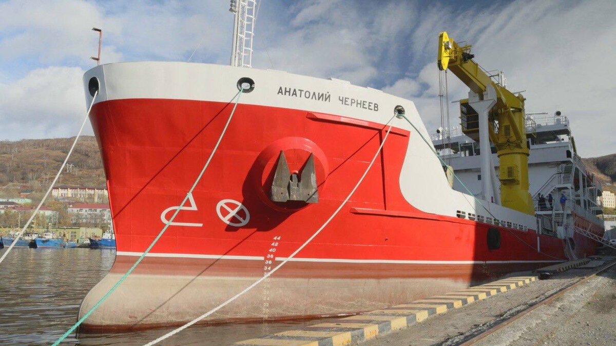 Фото: телеграм-канал Владимира Солодова