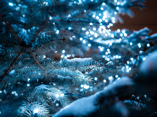     Фото Freepic.com