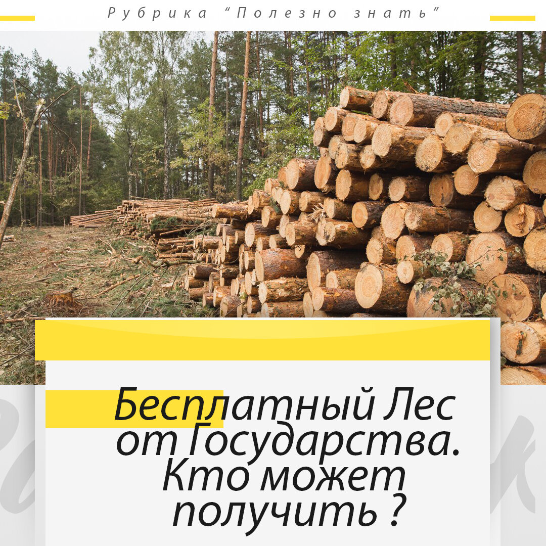 Каждый гражданин РФ имеет право на бесплатный Лес от государства? |  Кадастровый Инженер - Межевание, Регистрация дома, Вынос границ | Дзен