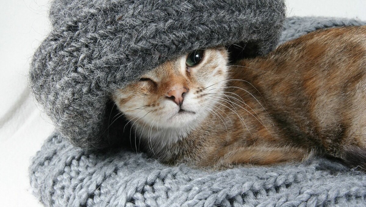     В Ростовской области ожидается резкое похолодание и дожди, об этом рассказал ведущий специалист гидрометцентра «Фобос» Александр Синенков.