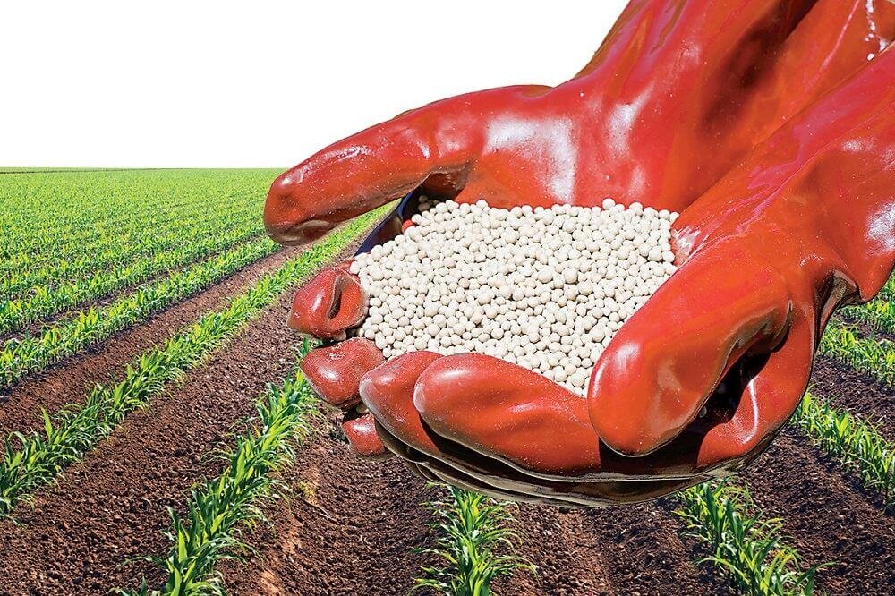 Яндекс Картинки