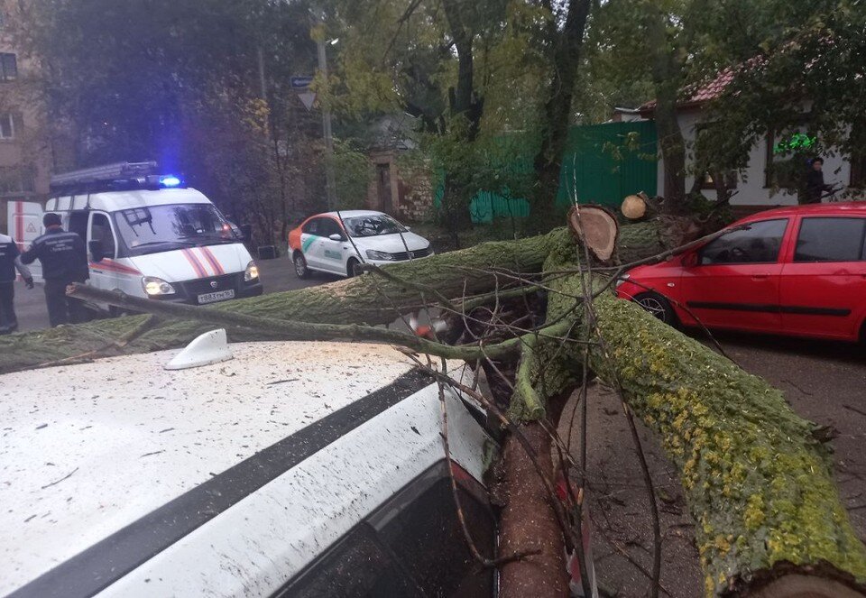     Дерево, словно мост, перекинулось с одного автомобиля на другой. Анастасия ТАЛЫЗИНА