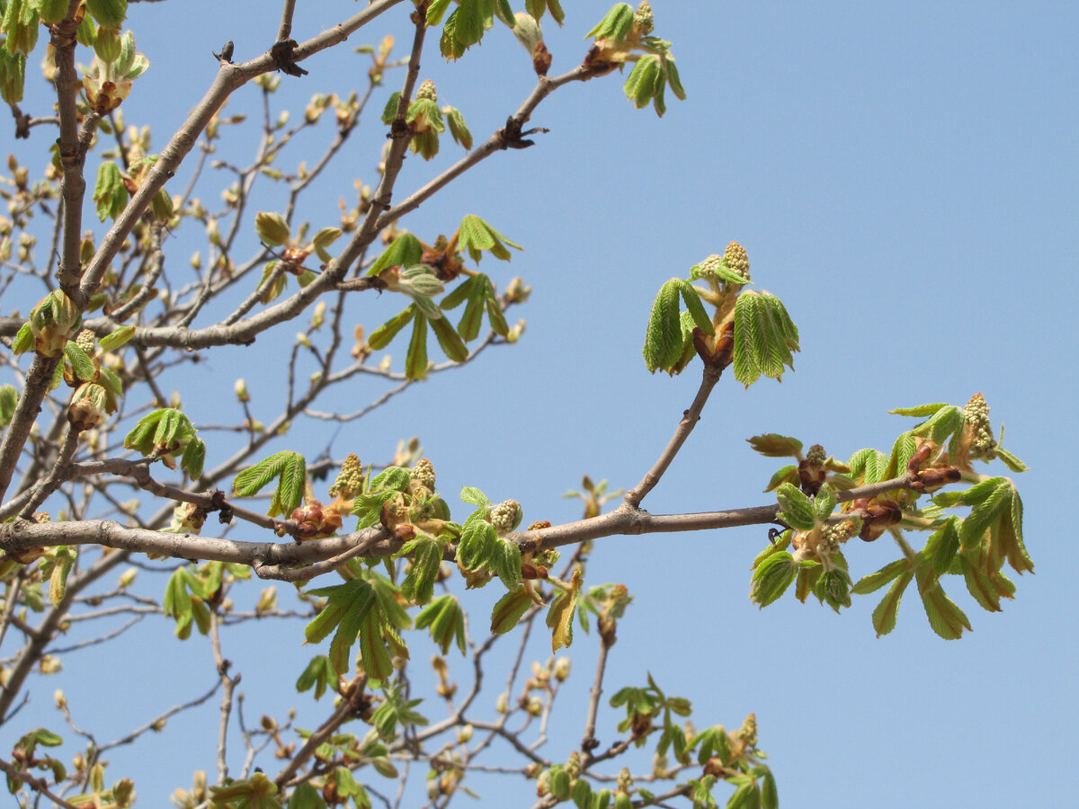 На дворе держится 16 градусов, но, смотря на фотографию, ощущаешь весеннее тепло.