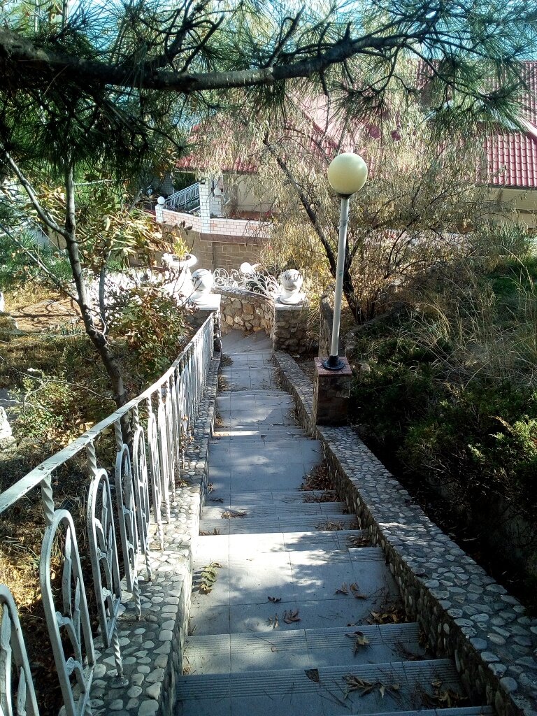 На лестнице здоровья. Фото автора канала