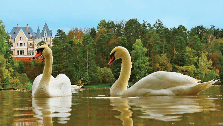 из открытых источников