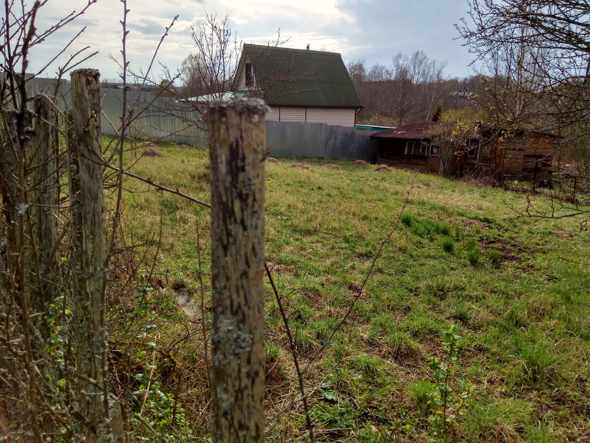 Зимой с горки можно кататься)