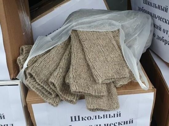     Фото: serpuhov.msr.mosreg.ru