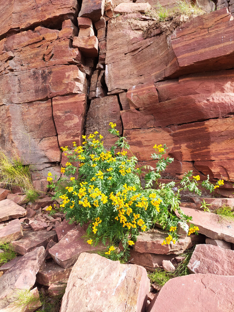 Красные камни