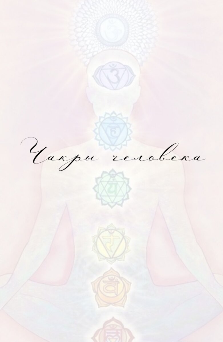 Чакры – это энергетические центры, т.е двери для входа и выхода значительных потоков энергии определенного качества. 

Человеку необязательно углубляться в изучении всех чакр, а в теле их насчитывается большое количество. Достаточно сконцентрировать внимание на основных семи.

❤️Муладхара — Первый основной энергоцентр — чакра земли или корневая чакра. Располагается она в самом низу позвоночника, в области копчика. Для человека энергия, транслируемая этой чакрой, фундаментальная. Через нее транслируются энергетические потоки по вибрациям ниже, но они необходимы для выживания и адаптации на планете Земля. Именно эта чакра отвечает в большей степени за здоровье человека, а конкретнее, за его иммунитет к различным болезням. Так же транслируется энергия, усиливающая стрессоустойчивость, что взаимосвязано с хорошим иммунитетом. Сильный недостаток энергии в муладхаре сказывается на всех чакрах, телах, физическом и психическом состоянии человека. Он вызывает и/или сопровождает депрессию. Обычно считается, что лотос муладхары красного или вишневого цвета, но при депрессиях он становится серым, как и все поле человека.
У каждого человека чакры развиты и раскрыты неравномерно, зачастую преобладает какая-либо одна чакра. Муладхара сильно развита у экстремалов, балансирующих на грани жизни и смерти, в том числе у некоторых спортсменов, путешественников и т.п. Также она должна хорошо работать у людей, занятых тяжелым физическим трудом.Родовая энергия поступает к человеку в первую очередь именно по этому каналу.
🧡Сватхистхана — Сексуальная чакра. Она расположена возле верхней границы лобковой кости. Природный цвет ее лотоса – алый или ярко-оранжевый. В ней происходит накопление энергии для продолжения рода.  Одна из ее функций — это проявление в человеке заботы о своей семье и близких.  Переизбыток энергии в этой чакре может привести к разгормонизации человека, вызывать  неудовлетворенность в сексе, в деньгах, вещах, образе жизни, внешности. Провоцировать гонку за иллюзорными ценностями. Блокирование этой чакры может вызывать депрессии, неуверенность в себе, зажатость, скованность, потерю вкуса к жизни, преждевременную старость. Общеизвестно, насколько распространены сейчас
гинекологические, андрологические, урологические и т.п. заболевания и бесплодие. Это в первую очередь из за недостатка Энергии в чакре.
Для девушек этот энергоцентр является ключевым в раскрытии своей женственности. Насколько у них развита эта чакра, настолько ярко проявляется женское начало.
Все хорошо, когда находится в гармонии. Постоянная концентрация энергии на этой чакре сильно ограничивает сознание  и ставит человека зачастую в неприятные ситуации. Одна из крайностей — это полная «забитость» человека, другая — когда он «забивает» и унижает других. При гармоничной работе энергоцентра  человек является заботливым семьянином, умеющим отдыхать и наслаждаться тем, что он имеет.
💛Манипура — Чакра жизненной силы. Ее иногда называют «солнечным сплетением», хотя расположена она не на солнечном сплетении, а ниже,ей присущ ярко-желтый («цыплячий») цвет. Активная чакра способствует проявлению энтузиазма, эффективности, коммуникабельности, силы воли, а так же позволяет управлять реальностью.
Манипура – это чакра, на которой основано большинство социальных связей современного человечества. Следовательно, у множества людей именно она является преобладающей. Это чакра иерархии, порядка и подчинения, на которых держится современное человеческое общество снизу доверху. 
Для эффективной жизни в системе, развития собственного дела, успешного управления ресурсами и продвижения себя как лидера   достаточно иметь сильную манипуру в связке с нижними чакрами. Для управления реальностью на уровне мага или усиления физического на уровне воина  необходима связка и нижних энергоцентров, и верхних.
💚Анахата — Сердечный энергоцентр,центральная чакра, через нее человек познает истинного себя, пребывая в потоках любви и милосердия, благородства. Она охватывает значительную часть грудной клетки по кругу, как чашу. Природный ее цвет – различные насыщенные оттенки зеленого. Анахата — это врата к бесконечности внутреннего мира  и к бескрайним просторам внутренней Вселенной. Активация этого центра ведет по пути осознанности, мир познается благодаря проводимости высоковибрационных, созидающих энергий любви. Раскрытая анахата позволяет человеку интуитивно чувствовать все и всех. Энергии, проводимые через этот энергоцентр человеком, способны исцелять души и при  особых навыках,  физические недуги . В этом энергоцентре заложена вся сила Вселенной. С раскрытием анахаты человеку открывается истинный дар — яснознание, ясновидение. Именно сердцем человек чувствует мир, и на основе этого чувства  возможно расшифровывать послания свыше или наблюдать тонкое пространство энергий.
💙Вишудха — чакра творчества(горловая). Ее  вход-выход расположен в ямке между ключицами у основания шеи. Это зона щитовидной и паращитовидных желез. Вишудха считается пограничной, связующей чакрой между духом, разумом и материей. Она имеет цвет синий или голубой. С ее помощью человек воплощает  различные идеи, которые появляются сначала в его уме, в двух верхних чакрах. Мысли с помощью этой чакры превращаются в слова, звучащие или записанные, либо в иные знаки, и могут продолжиться в действиях и создании различных материальных предметов. То есть, по большому счету, создать что-либо без участия чакры вишудхи невозможно. Это чакра общения, выражения и передачи мыслей и эмоций друг другу, творчества и искусства. Соответственно, она хорошо открыта у художников, писателей, музыкантов, ученых, изобретателей, ораторов, преподавателей и вообще у мастеров своего дела, каждый человек так или иначе самовыражается  и общается, поэтому вишудха  находится в активно работающем состоянии у всех людей, но при этом она у подавляющего большинства перекрыта и энергетически изуродована. Такое состояние пятой чакры объясняется тем, что свободное самовыражение встречается редко, под влиянием требований социума люди «наступают себе на горло», кроме того, чрезвычайно распространены деструктивные формы самовыражения, в частности, словесная агрессия, брань и т.п. обиды тоже копятся именно тут.

💜Аджна —  чакра «третий глаз». Энергоцентр, в котором энергия сознания соприкасается с разумом. Определить ее вход-выход вы можете так: попробуйте надавить указательным пальцем по средней линии лба примерно на 2см выше бровей, там находится точка, в которой большинство людей чувствуют болезненность. Это и есть третий глаз. Вопреки распространенному мнению, чакра третий глаз отвечает не только за ясновидение и другие паранормальные способности. Функция, которую она выполняет у всех людей, – сбор информации из различных внешних и внутренних источников и формирование на основе этой информации взгляда на мир, индивидуального мировосприятия. В физическом теле этой чакре соответствует мозговая железа эпифиз (шишковидная железа). Цвет аджны – лиловый, фиолетовый или неоновый синий.
🤍Сахасрара — Коронная чакра. Двери в сердце Абсолюта. лотос Брамы. В физическом теле сахасраре соответствует гипофиз, важнейшая эндокринная железа. Вход-выход этой чакры в физическом теле определяют на макушке, но это не совсем верно. Тысячелепестковый ярко-белый лотос сахасрары довольно большой и может занимать всю верхнюю часть головы и уходить вверх за ее пределы. Это чакра Духа, через которую осуществляется связь с Космосом и с Богом Чакра выхода человека на вселенский уровень. С раскрытием этой чакры происходит активация Духа на объединение с физическим телом.
Раскрытие сахасрары  открывает человеку глубинное чувство:  Я Есть. Даёт осознание себя неотделимой частью и, более того, целым океаном энергий в пространстве пустоты.

📍Не нужно забывать, что чакры все связаны между собой, и как бы ни был развит какой-либо энергоцентр, без баланса всей энергосистемы  будут происходить перекосы и проявление одной раскрытой чакры не принесет желаемого эффекта. Проработка и развитие в идеале должны происходить многоуровнево и затрагивать  сразу несколько центров в комбинации, точке осознанности человека. 