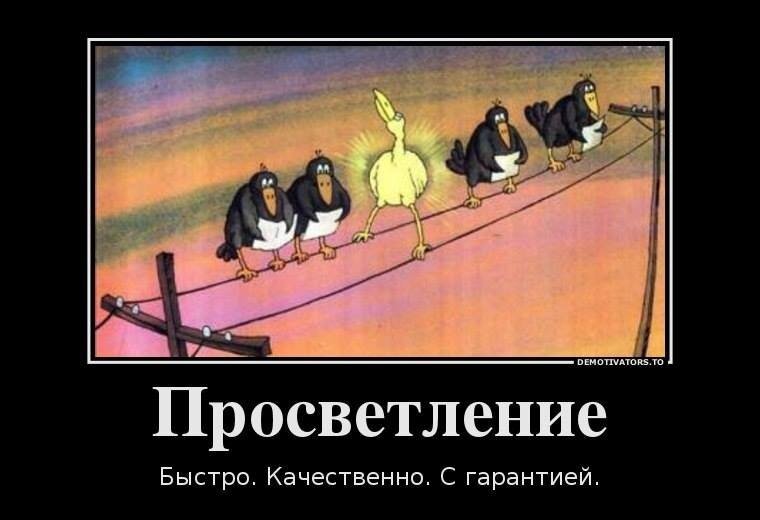 Картинка из глубин интернета