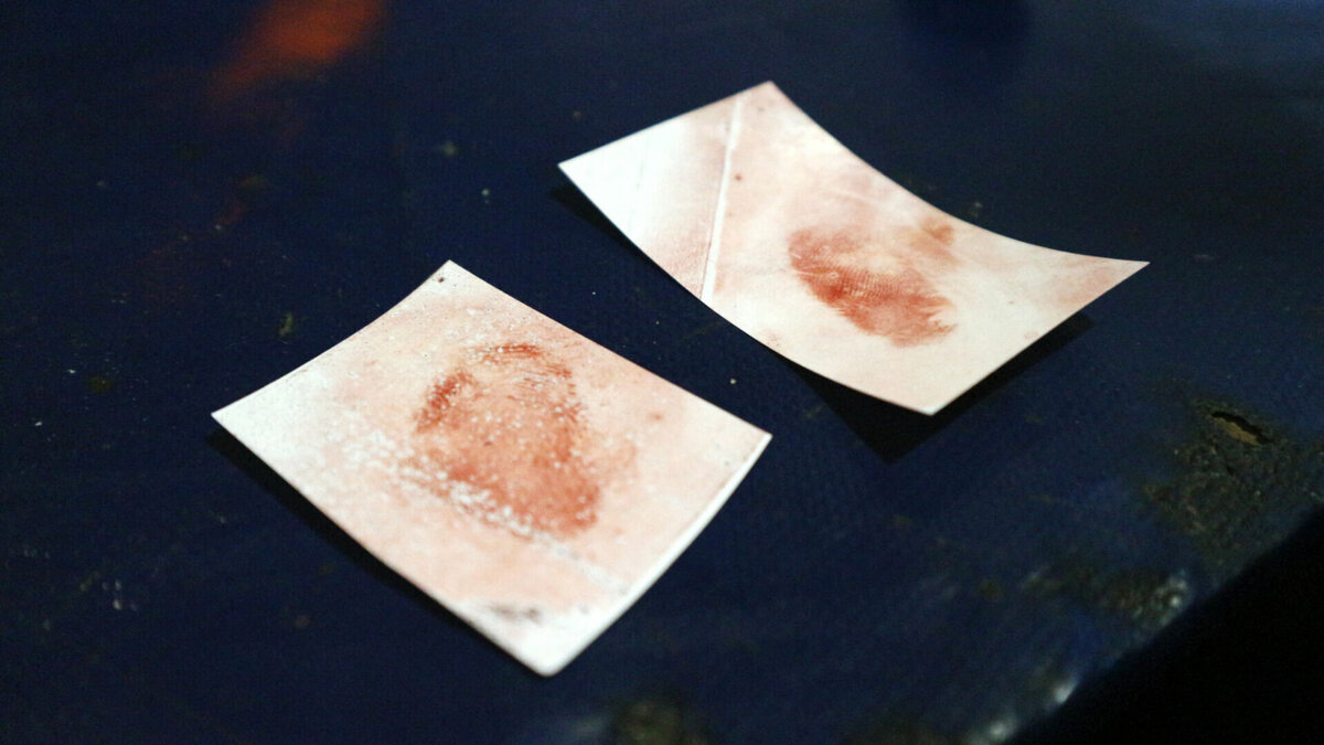     Убийца по-прежнему разгуливает на свободе. Информация об этом появилась в соцсетях.