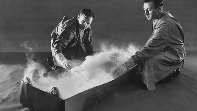 Фото: Джеймс Бедфорд