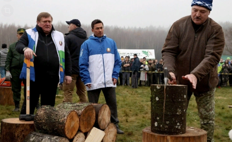 Один удар и чурка напополам (фото с сайта aif.ru)