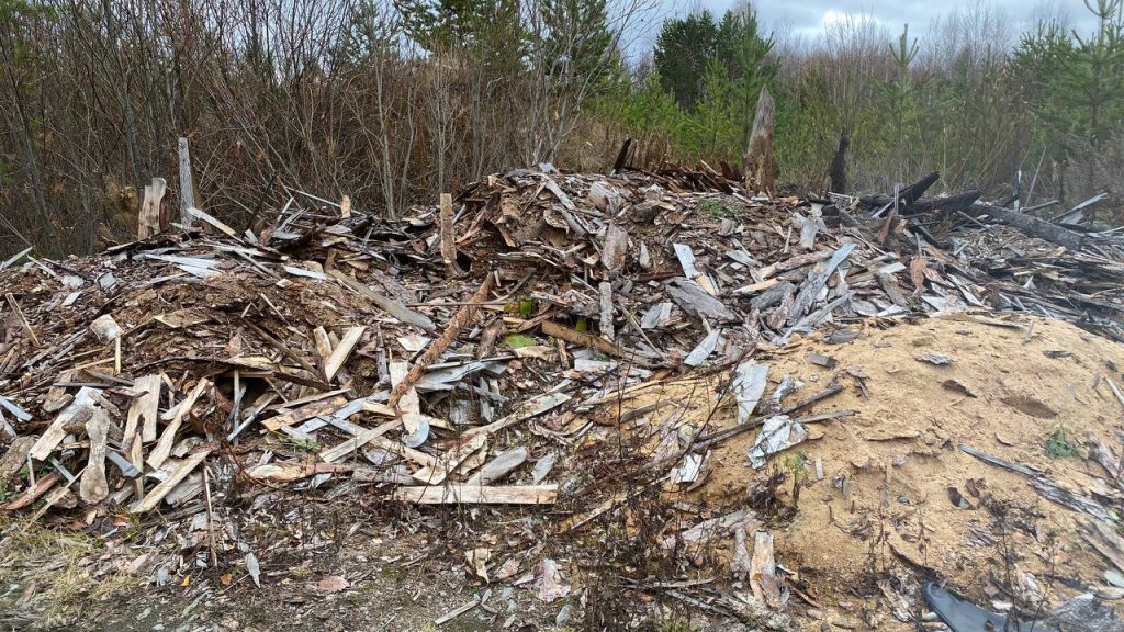    Фото предоставлены пресс-службой Свердловского отделения Российского экологического общества