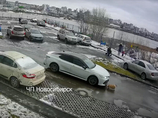     Скриншот видео "ЧП Новосибирск"