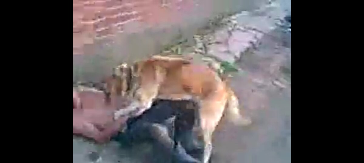 Полный пипец до чего закатился мир