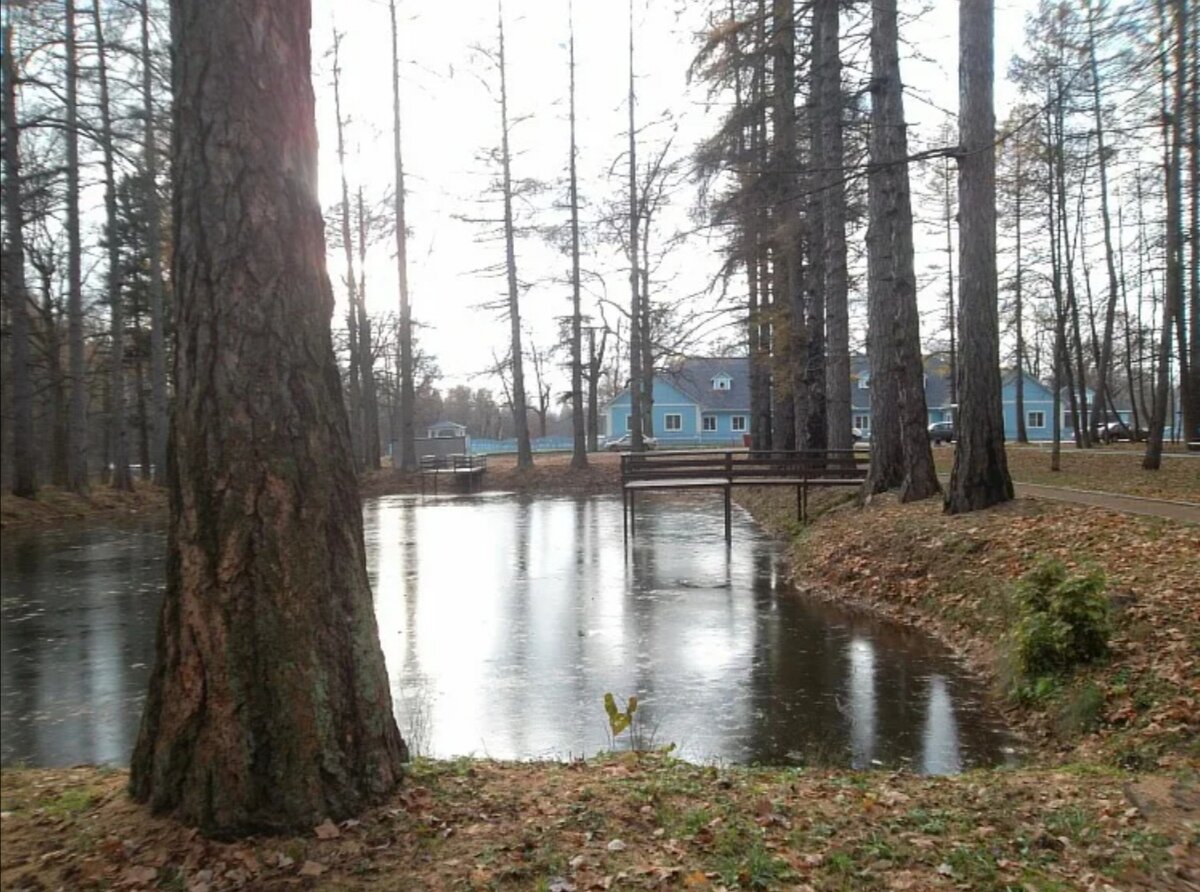 Усадьба Паниных Дугино