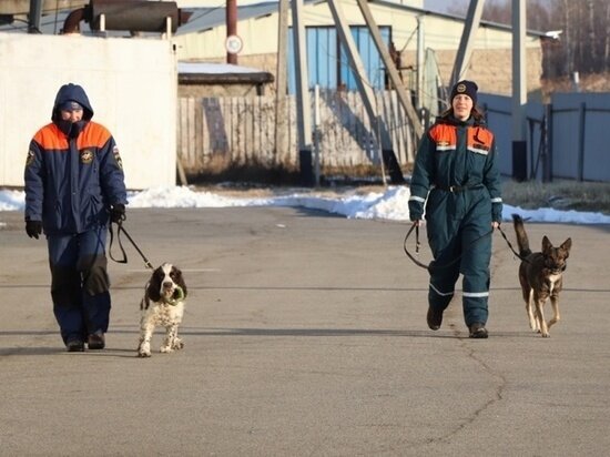     Поиски пропавшего жителя Хабаровского края в районе Лазо приостановлены. ФОТО: ГУ МЧС по Хабаровскому краю