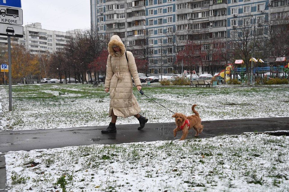     Днем в Москве ожидается от двух до четырех градусов мороза Михаил ФРОЛОВ