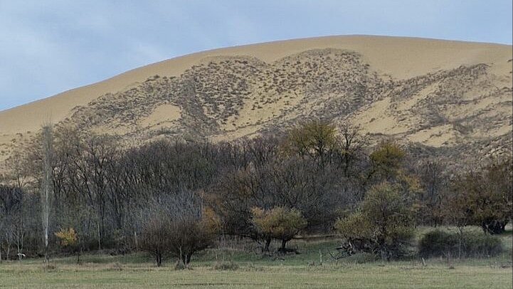 Бархан уже издалека словно кричал: «Мне есть что тебе рассказать!». А вы видите сердце? Фото мое
