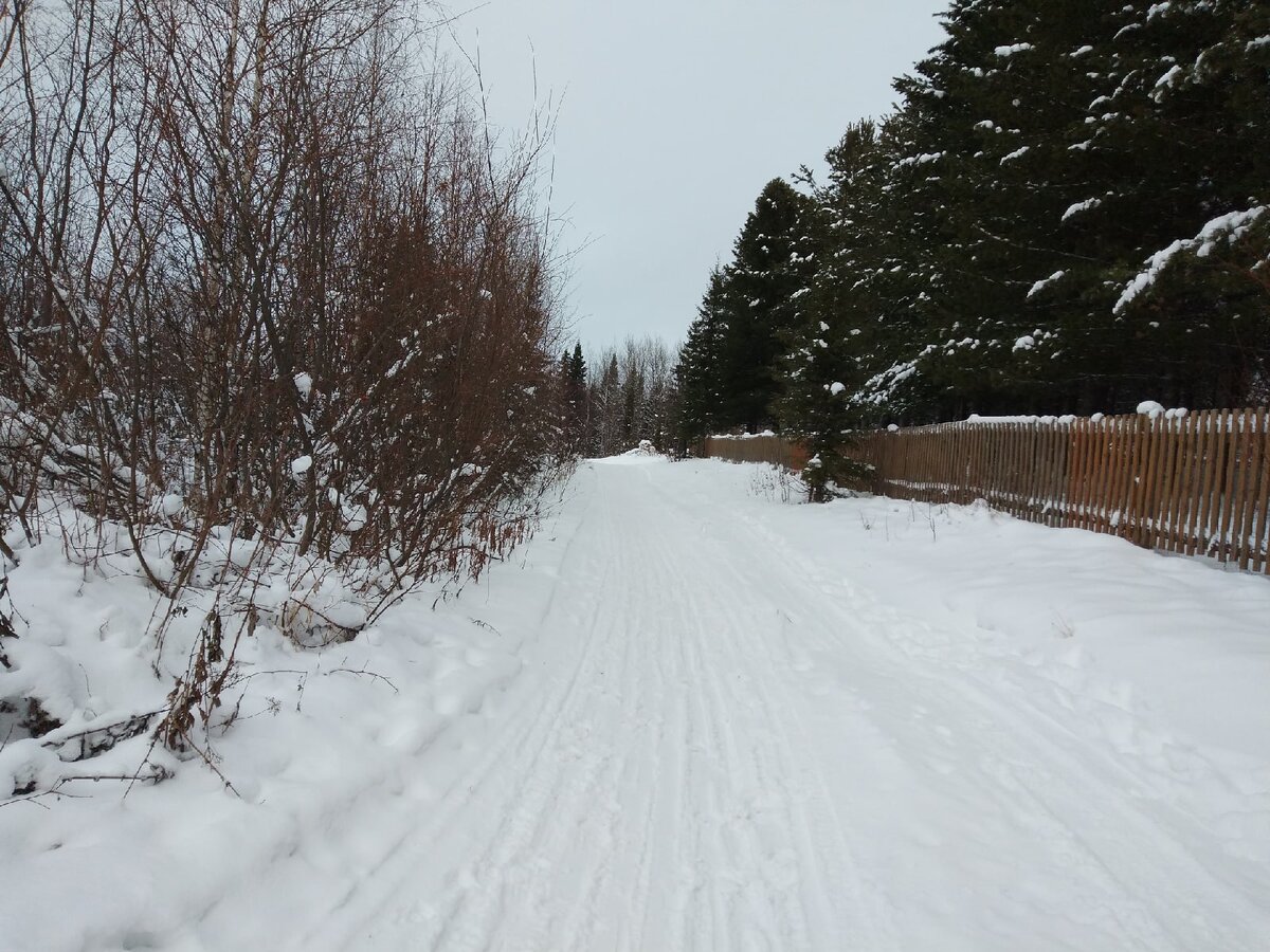 Погода щельяюр на месяц. Природа Республики Коми зима. Маслянинские зимние природа. Зимний парк Рославль 2022. Зима ноябрь.