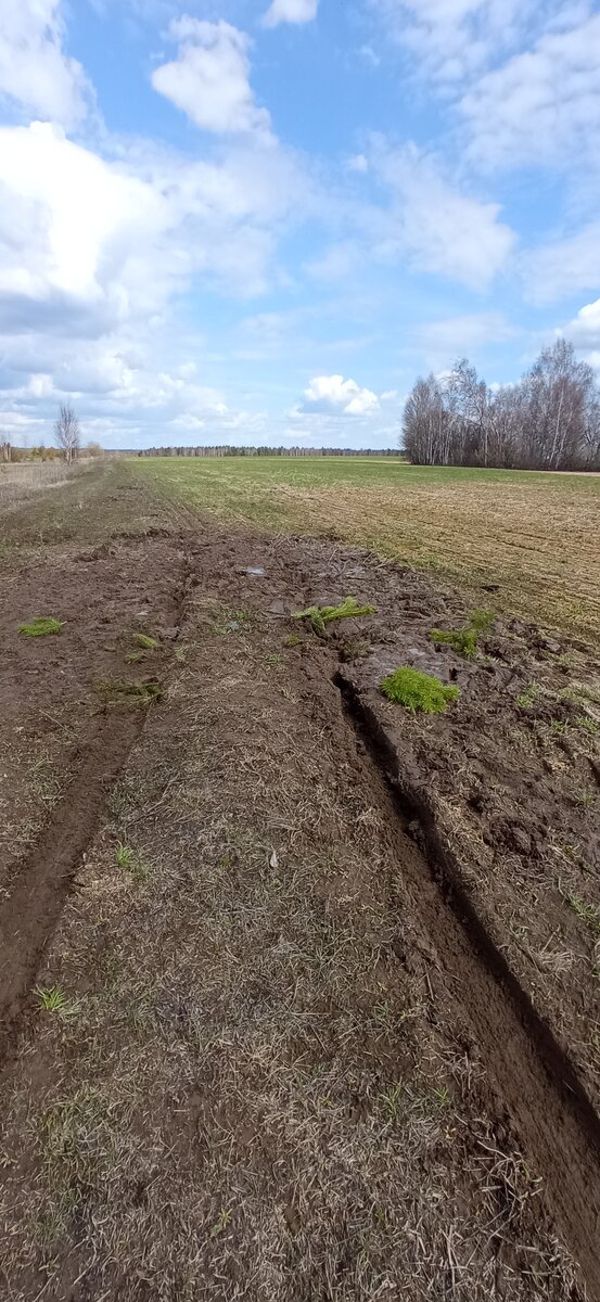 Доброго времени суток всем читающим. Сегодня хочу поделиться своим опытом с застрявшей в грязи машиной.-2