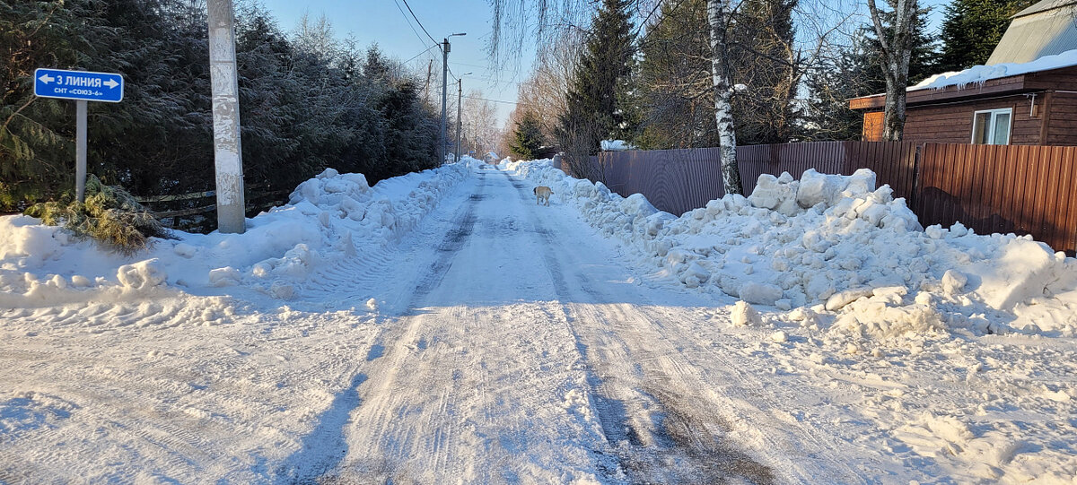 Экскаватор в суворове. Лиса в садоводстве зимой около забора. Уборка снега в снт. Чистка снега в деревне. Кто чистит снег в снт.