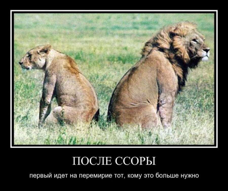 источник фото - zabavatut.ru